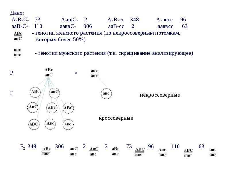 Презентация сцепленное наследование генов 10 класс презентация