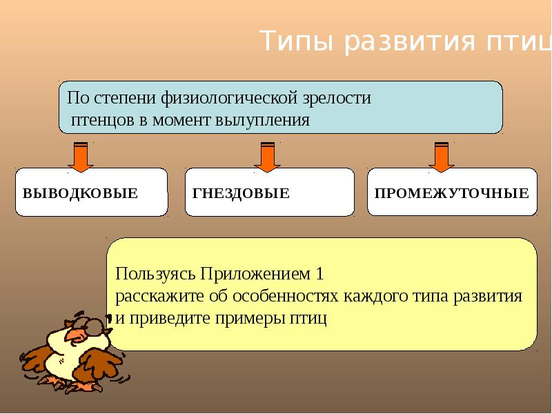 Годовой исследовательский проект сезонных изменений часть 4 здравствуй лето