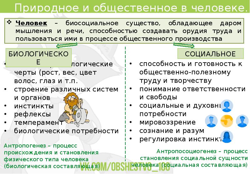 План позволяющий раскрыть по существу тему биосоциальная сущность человека