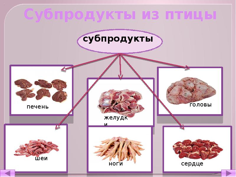 Полуфабрикаты из птицы презентация