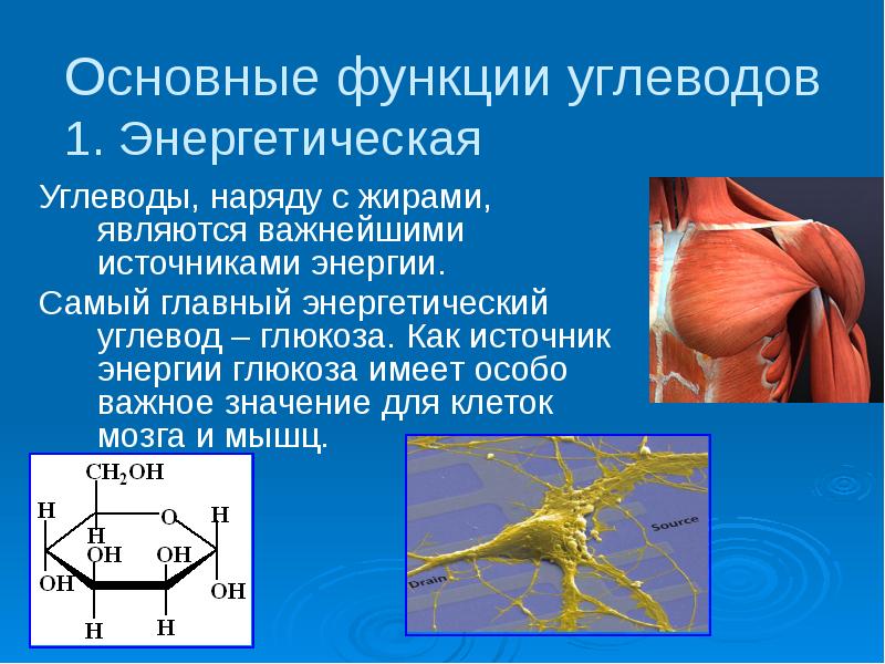 Волосы это органическое вещество