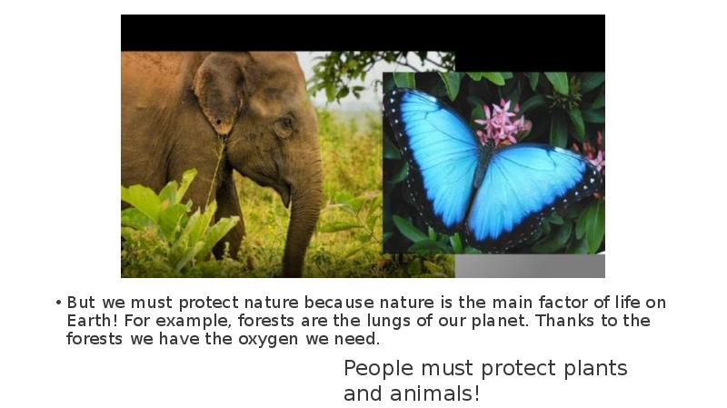 Protect nature. We must protect nature. To protect the nature. Harmony with nature prezentaciya.