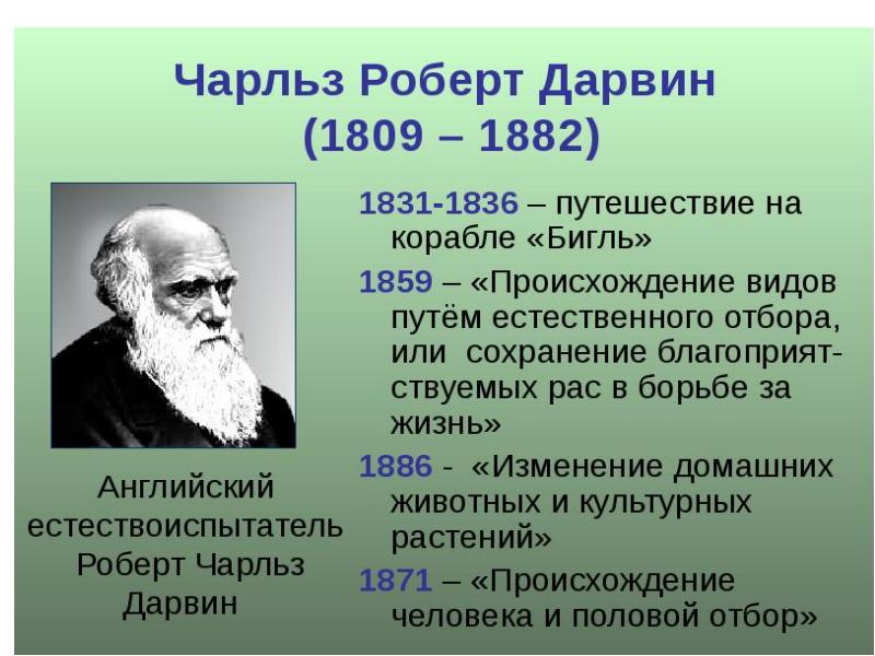 Современное учение об эволюции презентация 10 класс