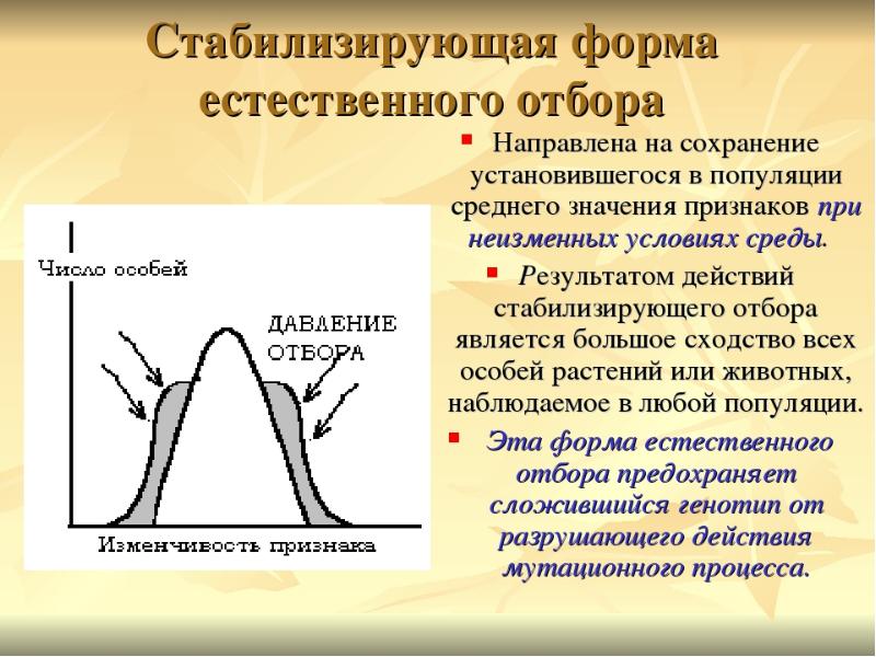 Определите какие диаграммы соответствуют приведенным ниже описаниям форм естественного отбора