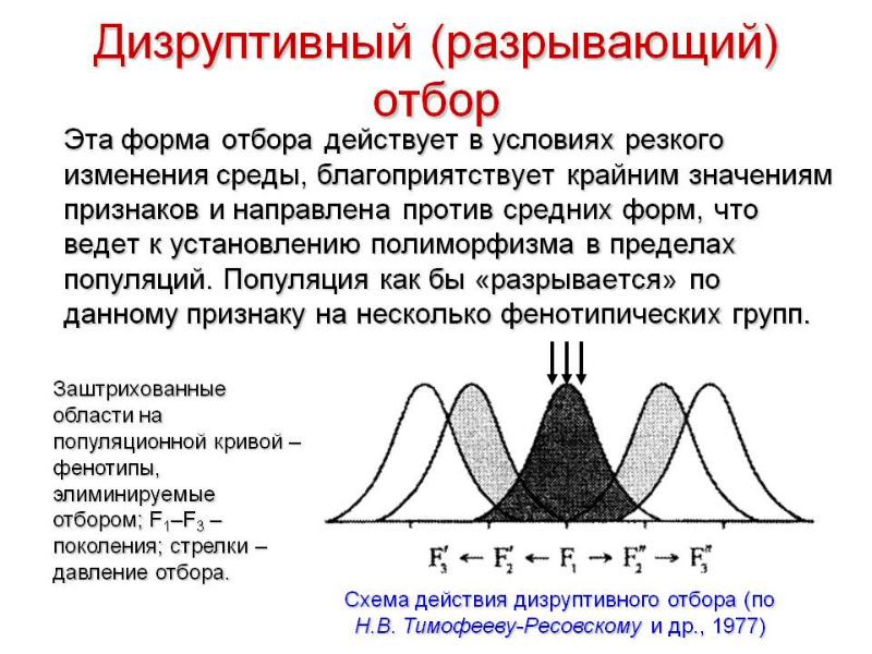 Приводит к гибели особей со средним значением признака диаграмма