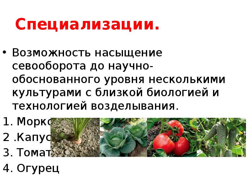 Типы севооборотов овощных культур