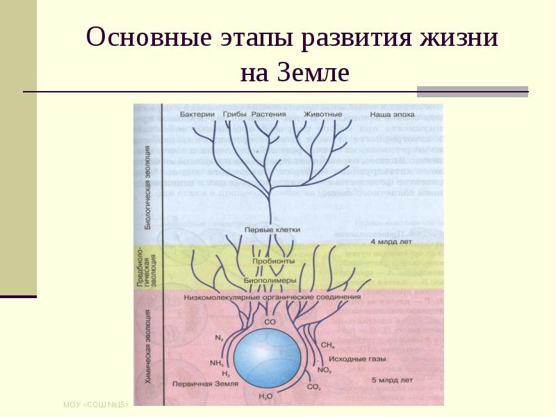 Схема зарождение жизни на земле