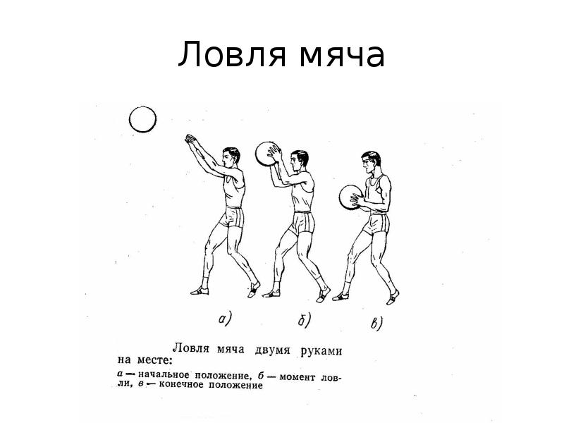 Ловля мяча в баскетболе. Ловля мяча снизу баскетбол. Бросок мяча снизу на месте. Ловля мяча на месте.. Ловли и передачи мяча снизу на месте в баскетболе. Бросок мяча сбоку с опоры высотой 15 20 см и в движении.