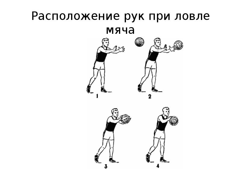 Ловля мяча двумя руками в баскетболе. Ловля мяча снизу баскетбол. Ловля и передача мяча в баскетболе. Броски и ловля мяча.