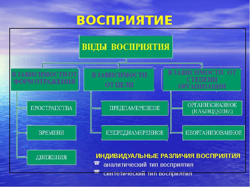 Индивидуальное восприятие. Индивидуальные типы восприятия. Индивидуальные различия в восприятии. Синтетический Тип восприятия. Индивидуальные различия восприятия в психологии.