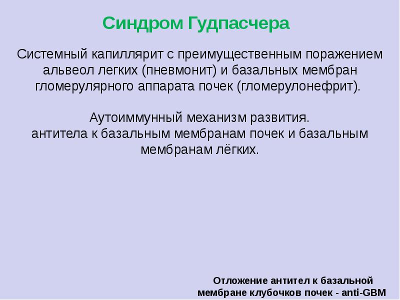 Антитела к базальной мембране. Синдром Гудпасчера патогенез. Синдром Гудпасчера гломерулонефрит. Синдром Гудпасчера легкие. Синдром Гудпасчера поражение легких.