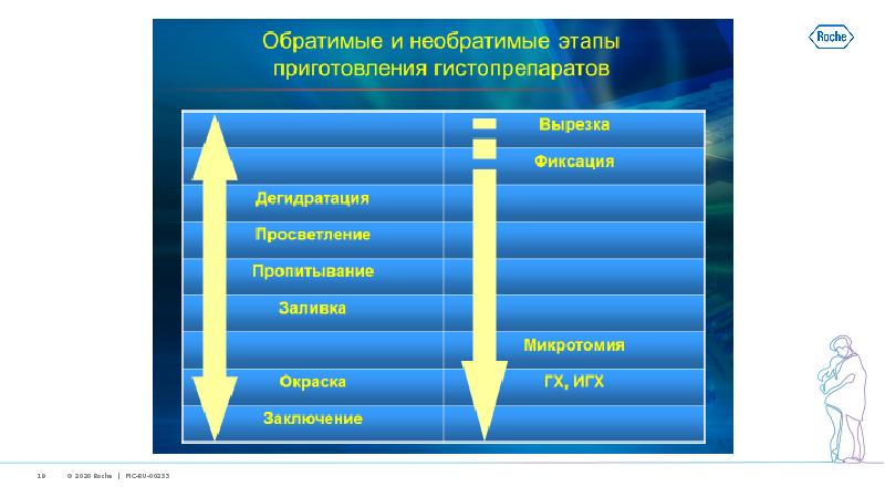 Этап подготовки данных для искусственного. Этапы подготовки субтитров.