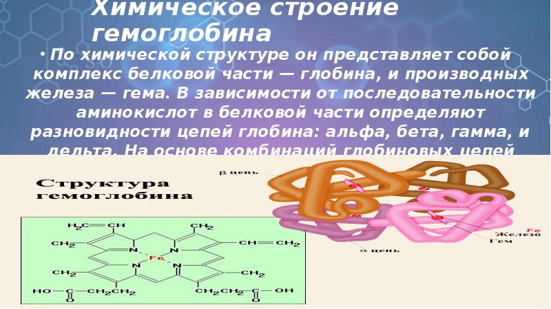 Химическое строение гемоглобина  По химической структуре он представляет собой комплекс