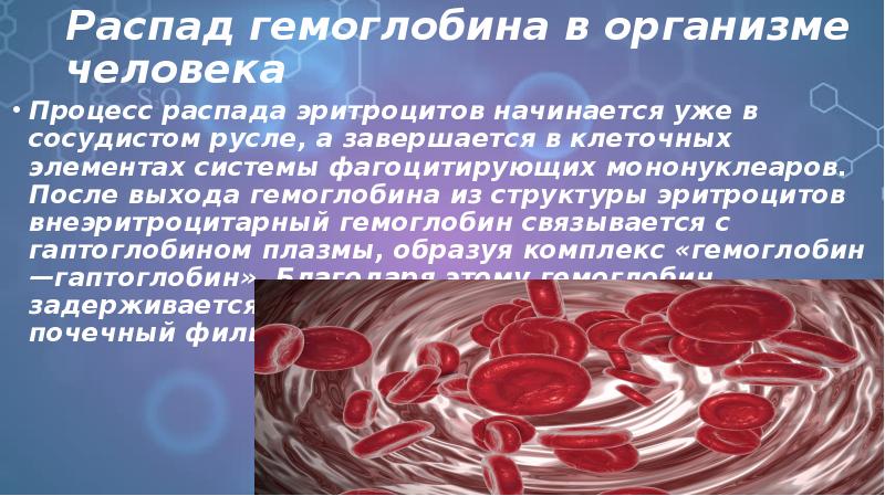 Распад гемоглобина в организме человека Процесс распада эритроцитов начинается уже в
