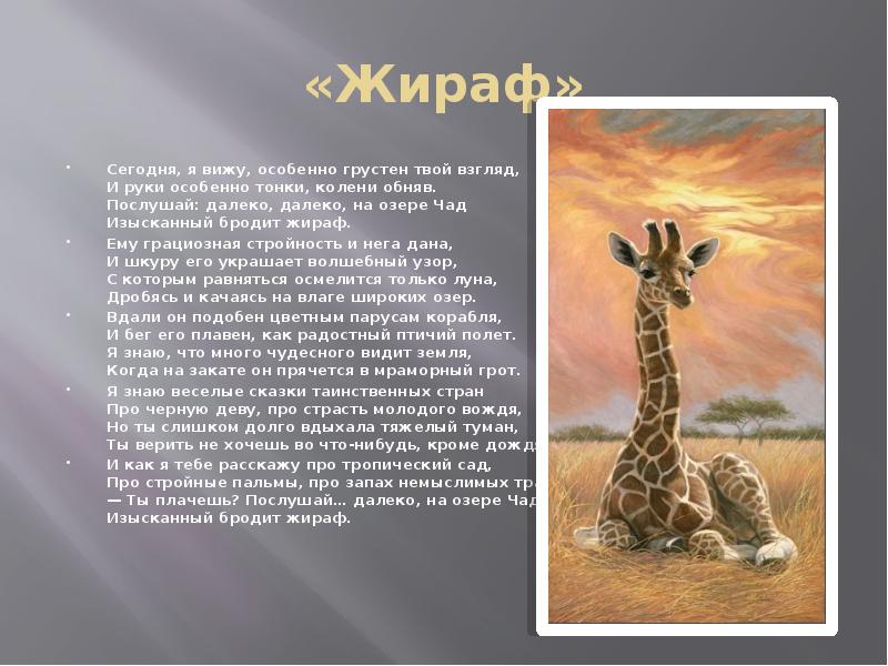 Песенка про жирафа автор