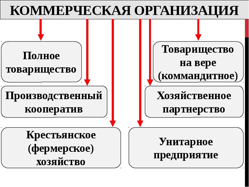 К потребительским товариществам и кооперативам относятся. Хозяйственные общества презентация. Хозяйственное общество это коммерческая организация или нет.