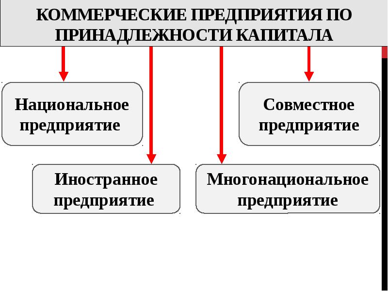 Хозяйственные общества презентация