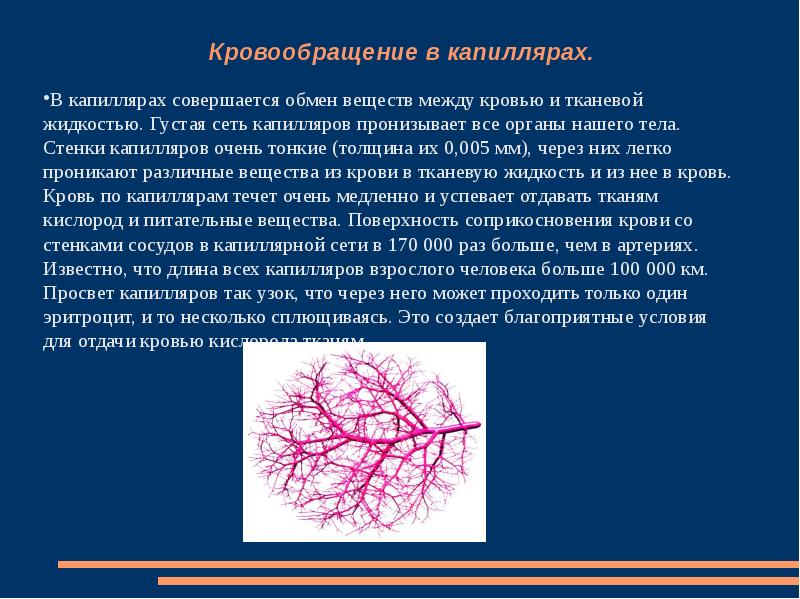 Дайте определение понятию капилляры. Капилляры в технике.