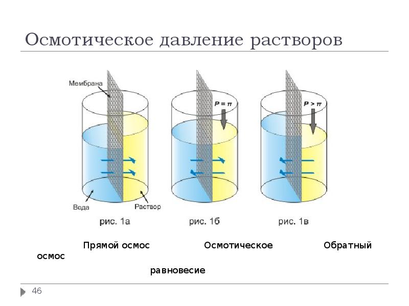 Осмотическое давление это. Осмос равновесие обратный осмос. Осмос осмотическое давление в дисперсных системах. Осмос. Осмотическое давление. Обратный осмос. Осмос и осмотическое давление кратко.