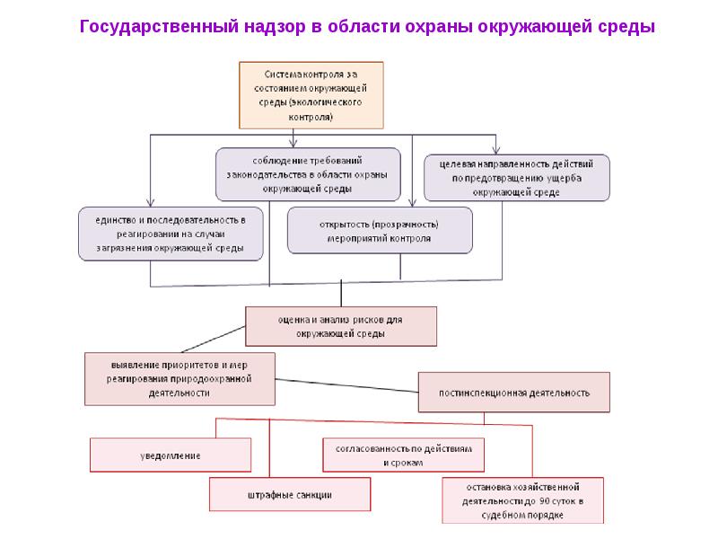 Надзор мониторинг. Контроль и надзор в области охраны окружающей среды. Государственный контроль и надзор органы схема. Схема осуществления государственного экологического контроля. Органы управления надзора.