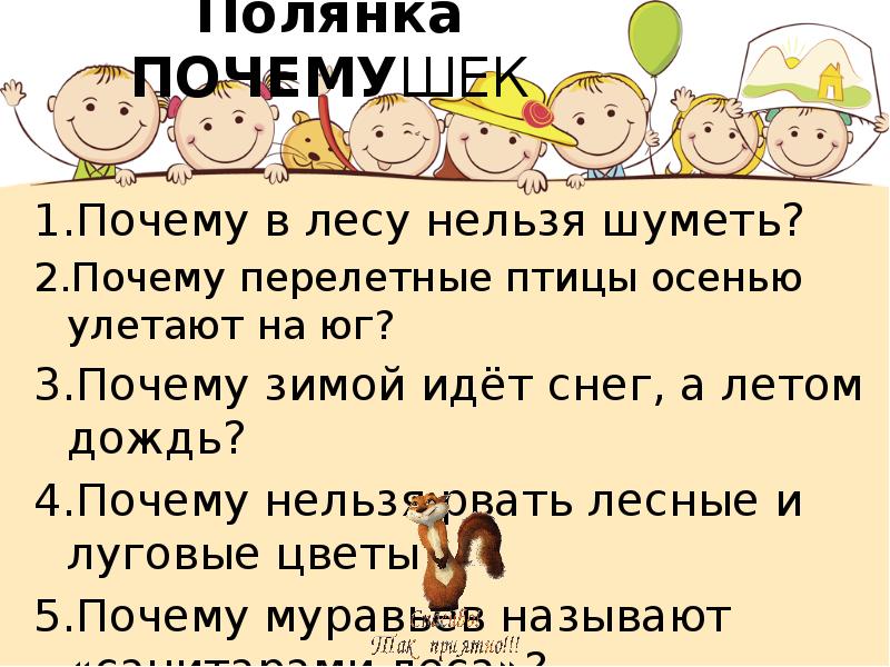 Полянка ПОЧЕМУШЕК Почему в лесу нельзя шуметь? Почему перелетные птицы осенью