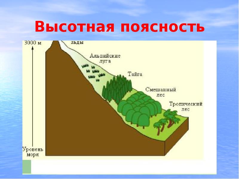 Высотная поясность гор презентация