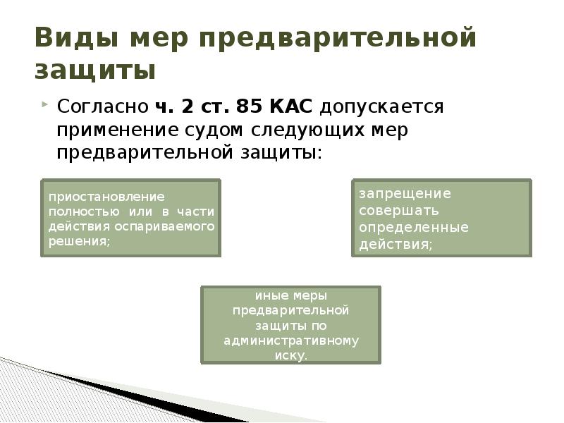 Ходатайство о применении мер предварительной защиты образец