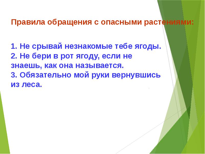 Проект опасности в лесу 2 класс