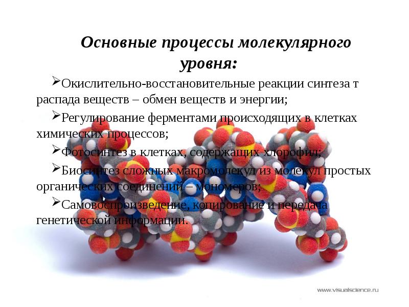 Молекулярный уровень организации изучает