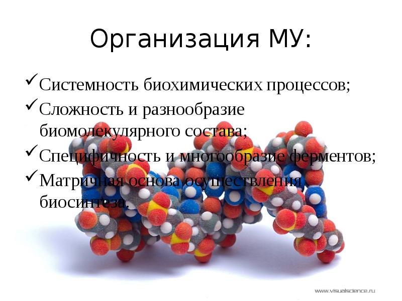 Молекулярный уровень жизни значение и роль в природе презентация 11 класс