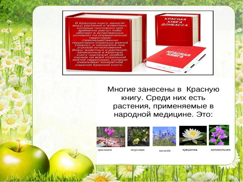 Красная книга донбасса презентация