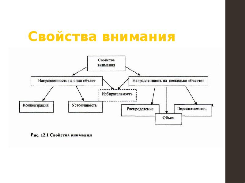 Схема внимание в психологии