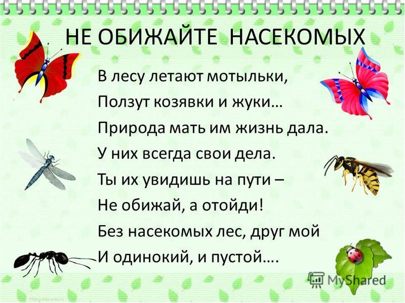 Логопедическая презентация насекомые