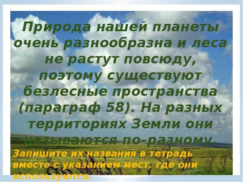 Жизнь на поверхности суши леса презентация 6 класс презентация