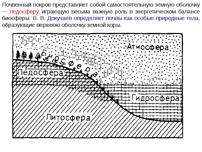 Граница педосферы. Педосфера. Почва педосфера. Литосфера педосфера. Литосфера педосфера.