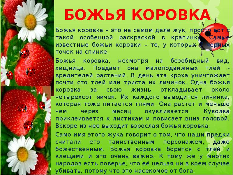 Весна пробуждение природы разноцветные жуки 1 класс изо презентация