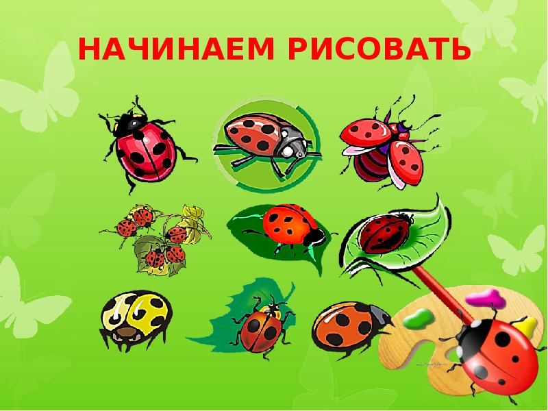 НАЧИНАЕМ РИСОВАТЬ