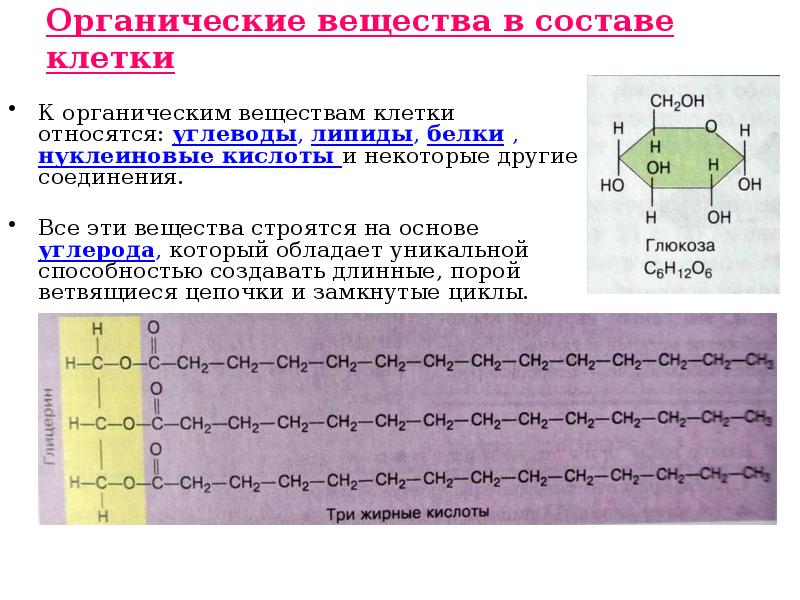 Органические вещества в живых организмах