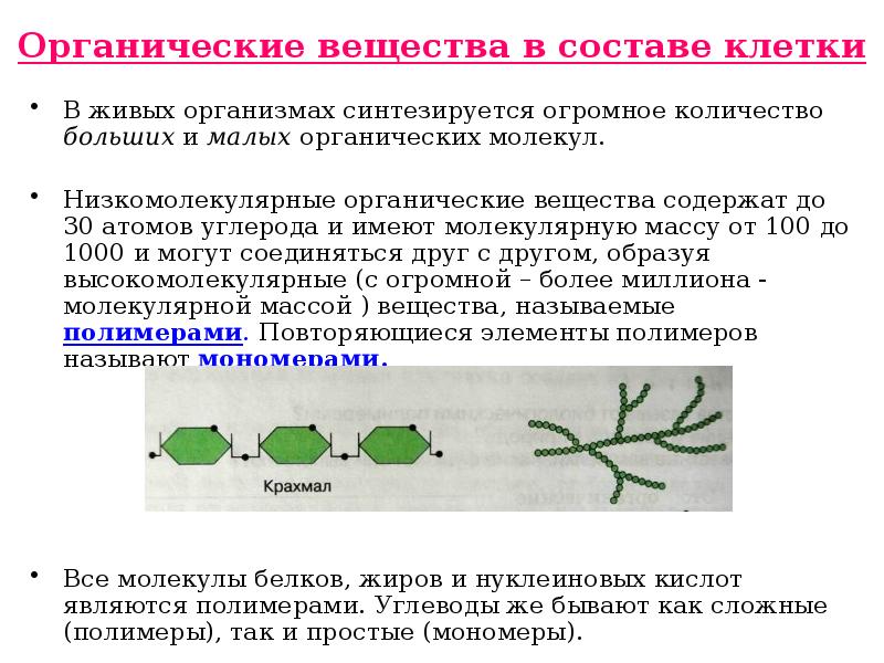 Органические вещества клетки презентация