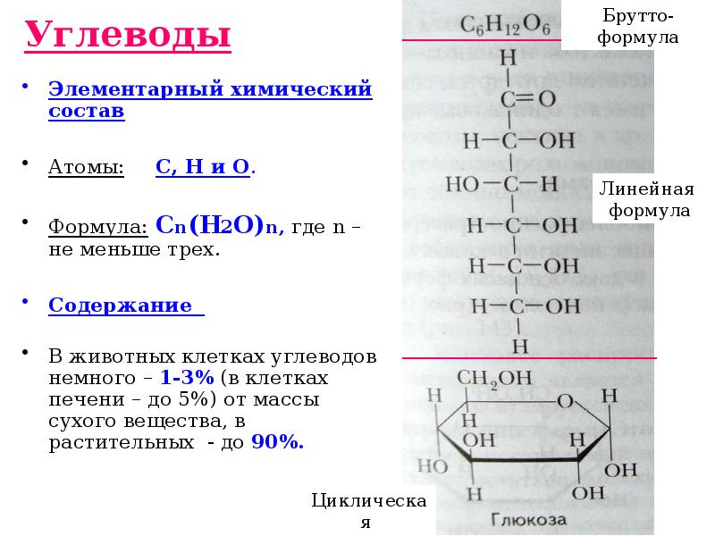 Органические вещества клетки углеводы