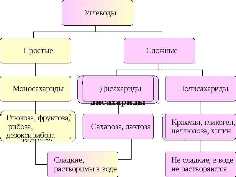 Органические вещества схема