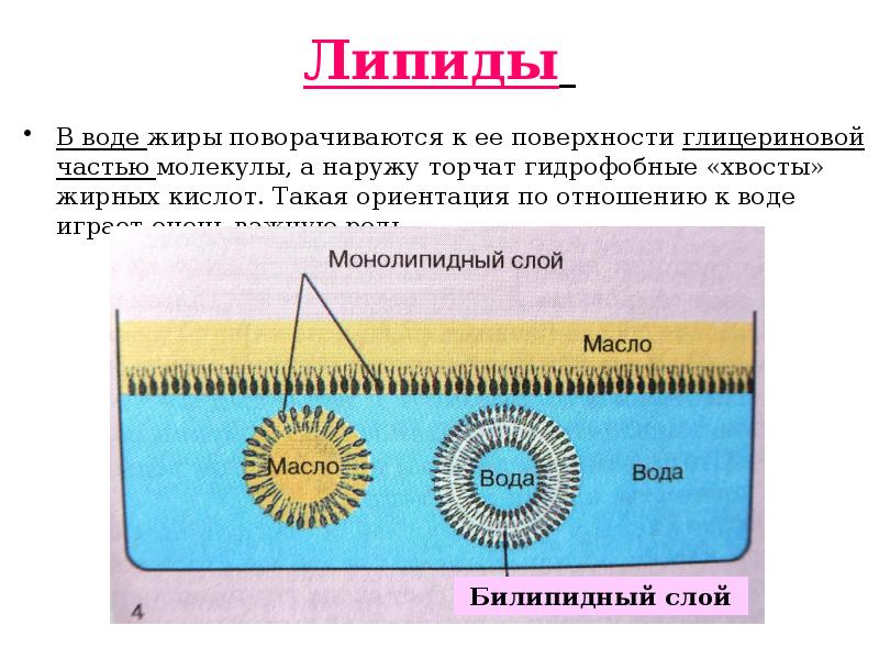 Вещества по отношению к воде схема