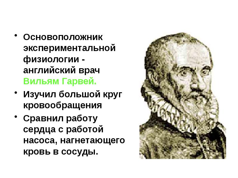 Пирогов основатель топографической анатомии