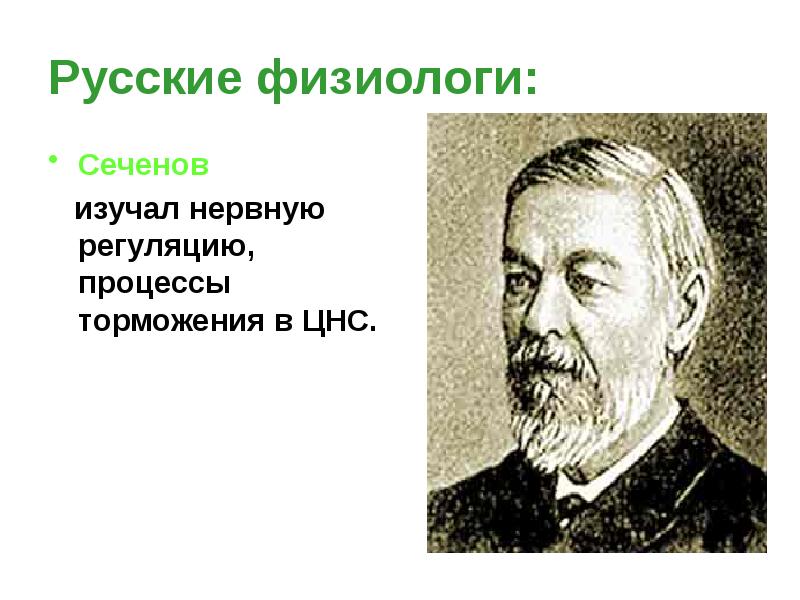 6 наук о человеке. Что изучал Сеченов. Сеченов изучение мышц. Первый ученый который изучил нервную систему. И.М. Сеченов - Великий русский физиолог презентация.