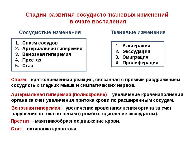 Артериальная гиперемия патофизиология презентация