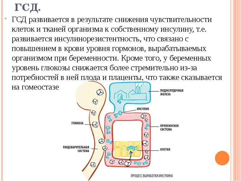 Гестационный сахарный диабет презентация