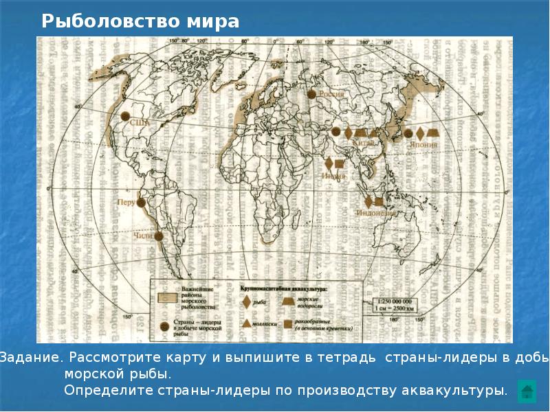 Карта мира животноводство