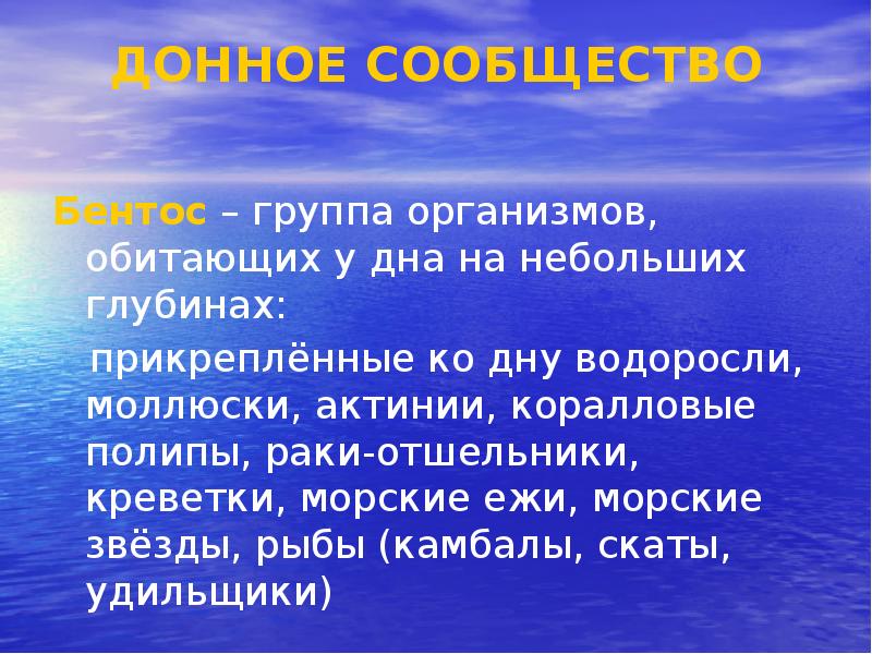 Презентация моря и океаны