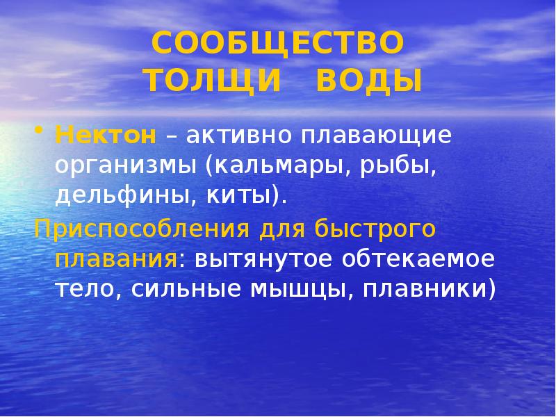 Презентация моря и океаны