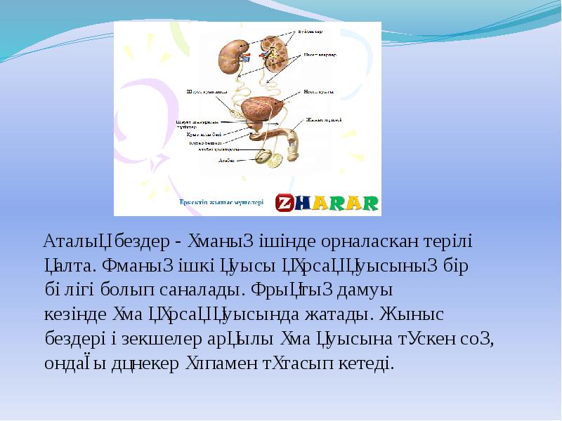 Салыстырмалы елтану презентация